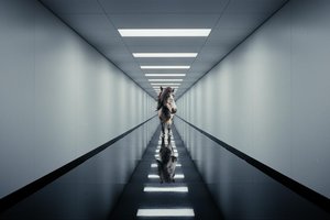 The Convergence of Instinct