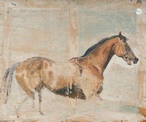 Pferdestudie (verso) — Sir Alfred James Munnings