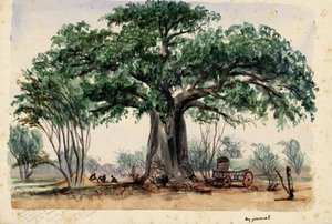 Covered Wagon And Men Under A Large Baobab — Thomas Baines