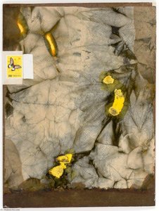 A Collection Of Cocoons — Joseph Cornell