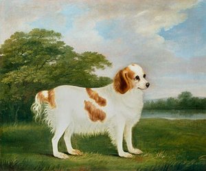 Spaniel In A Landscape — John Nost Sartorius