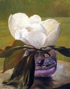 Magnolia Blossom — John La Farge