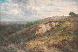 On Addington Hills, Croydon, Surrey — William Henry Hope