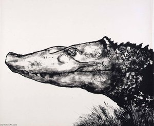 (A Bestiary, portfolio) Crocodile