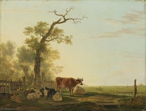 Pastureland with cattle
