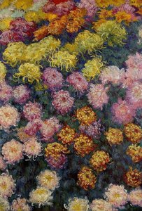 Cama De Crisantemos — Claude Monet