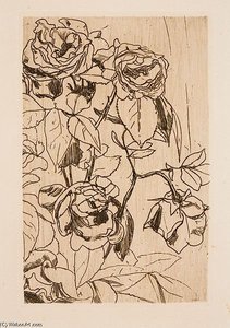 Study Of Roses — Floris Verster
