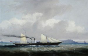 The 'cygnus' Off A Coast — Philip John Ouless