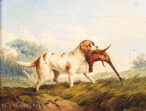 Spaniels Flushing Out A Mallard; And Retrieving — Paul Jones