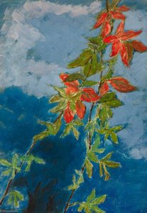 Plant — Myfanwy Baker