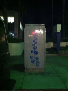 Christmas Delphinium Random Act, Andrea LaHue