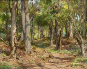 In The Woods, Kirkcudbright — William Stewart Macgeorge
