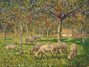 Sheep In An Orchard At Kemerton, Gloucestershire — Janet C Fisher