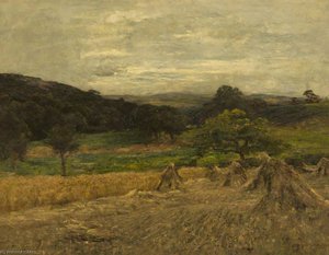 Cornfield