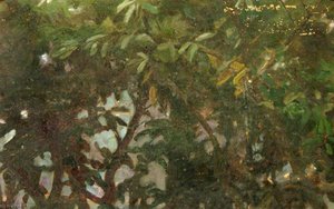 Leaves (verso)