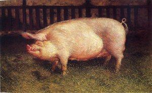 Portrait Of Pig — Jamie Wyeth
