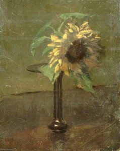 Sunflower (recto) — Sidney Herbert Sime