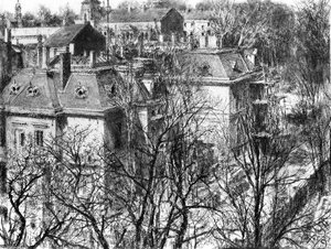 Houses Behind Leafless Trees — Adolph Von Menzel