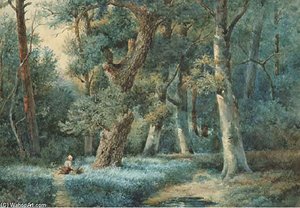 Gathering Wood In The Forest