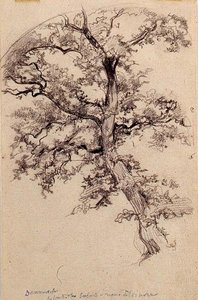 Denmark - Tree — John La Farge