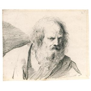Bust Of A Bearded Old Man — Guercino