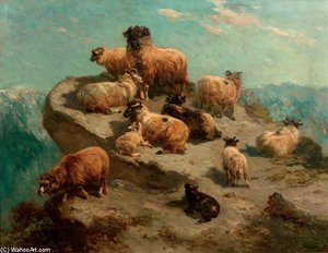 Mountain Sheep On A Cliff's Edge