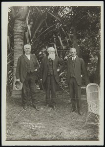 Thomas Edison, John Burroughs and Henry Ford in Fort Myers, Florida, 1914