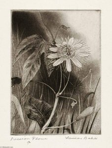 Passion Flower — Lamar Baker