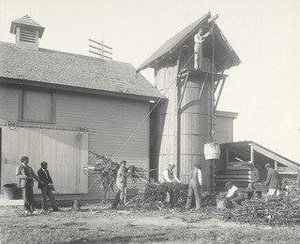 Agriculture Filling The Silo By Hand — Frances Benjamin Johnston