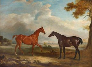 Two Racehorses, Called 'cock Robin' And 'langar' — John Ferneley, Snr