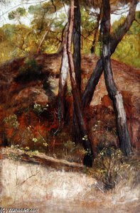 Trees At Bocca D'arno — Sir William Blake Richmond