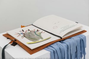 Lo sguardo che offende, Il manuale