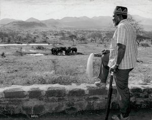 Kenyatta Looks At Herd Of Elephants — Mohamed Amin