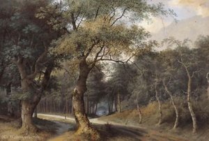 A path through a forest