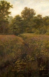 The Hidden Stream on Norton Common