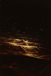 Celestial Descent: The Gilded Ossuary — Matthieu Fournier