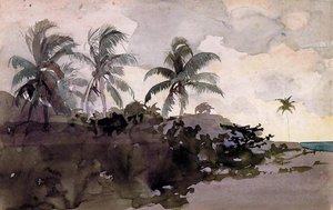 Kokospalmen — Winslow Homer, Realismus