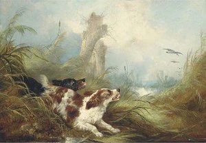 Spaniels Flushing Out Mallards — George Armfield (smith)