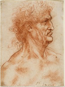 Cabeza viril de perfil coronada con laurel, c. 1506-10 (sanguina con contornos repasados a pluma sobre papel blanco)