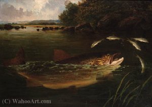 Landing a tench; and a brown trout leap