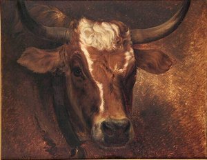 Tête De Vache — Jacques Raymond Brascassat