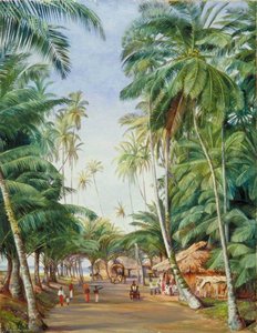Straßenszene Unter Den Kokospalmen Von Galle, Ceylon — Marianne North, Akademischer Realismus