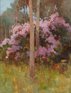 Sketch Of Rhododendron Ponticum — Benjamin Haughton