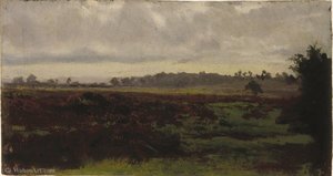 Marshlands
