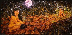 Seed Bridge — Sage Alucero