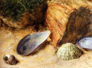 Still life with sea shells on a mossy bank