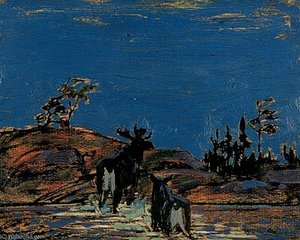 Moose At Night