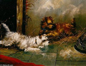 Terriers Playing — George Armfield (smith)