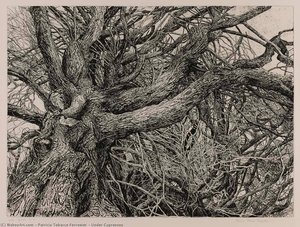 Under Cypresses