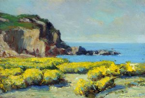 Coastal View